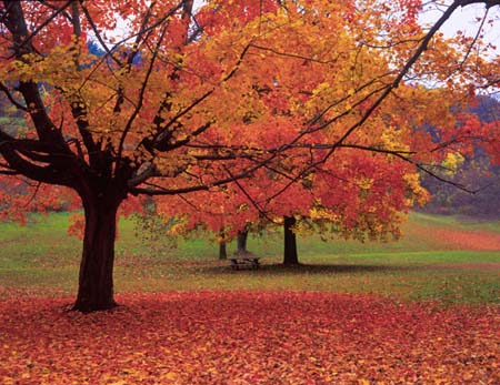 What are you Thankful For?