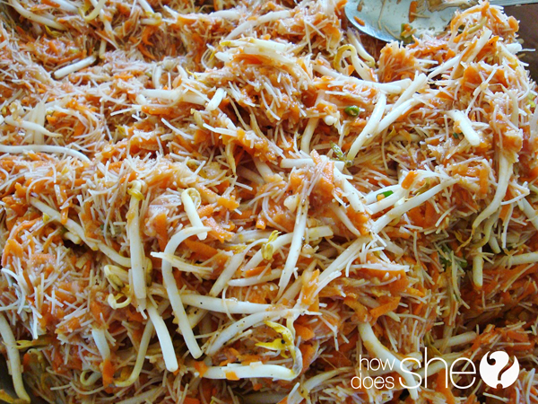 Vietnamese Spring Rolls