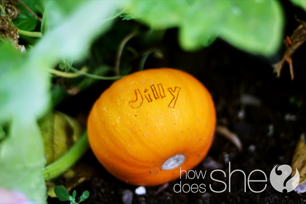 pumpkin scarring