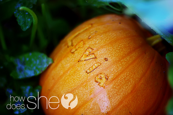 pumpkin scarring