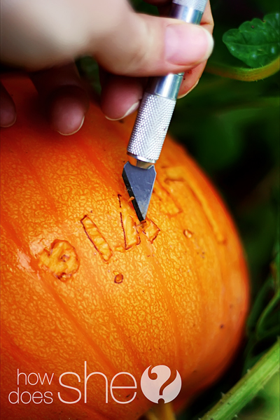 pumpkin scarring