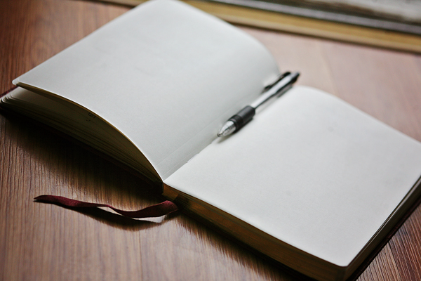 Dear Daughter Diary