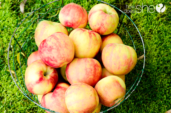 Sweetly Tart Honey Crisp applesauce