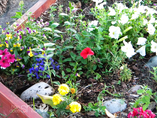 DSCN6974 copy