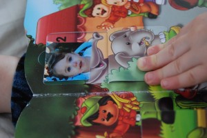 Picture flip Book