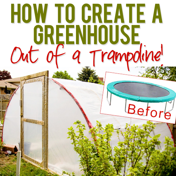 How to Create a Greenhouse out of a Trampoline How to Create a Greenhouse out of a Trampoline