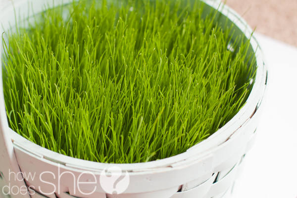 easter grass