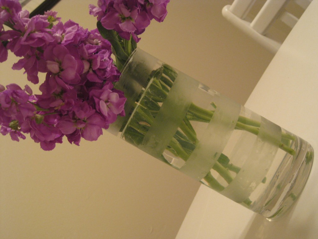 Vase Transformation