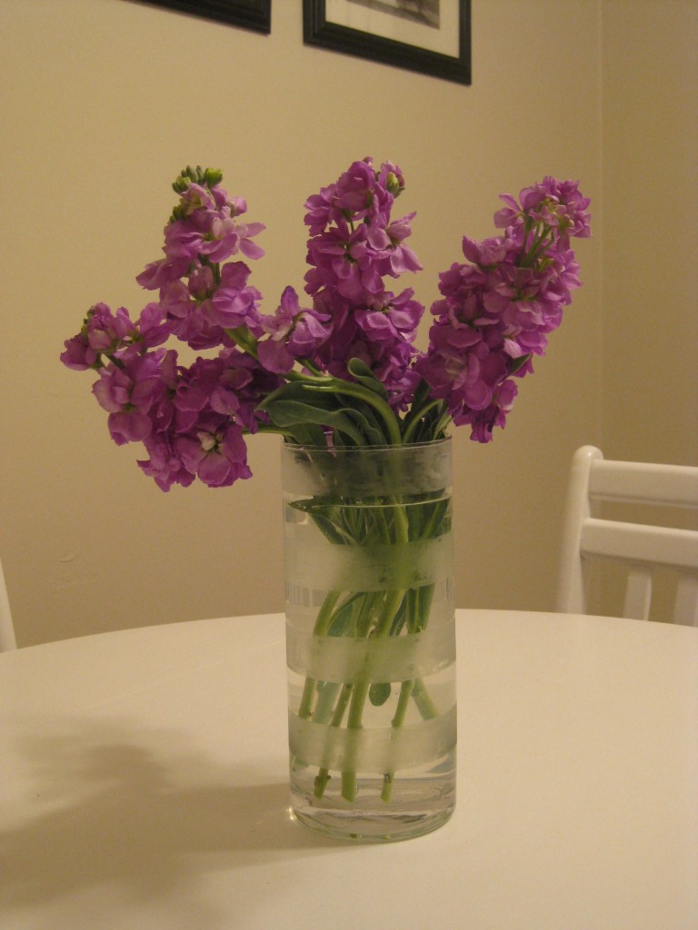 Vase Transformation