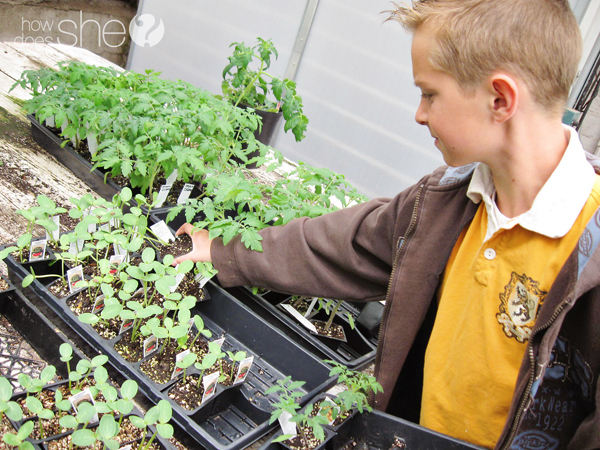 Gardening With Your little Green Thumb