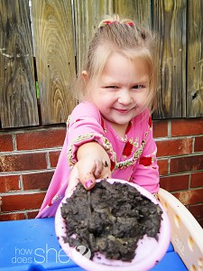 mud pie