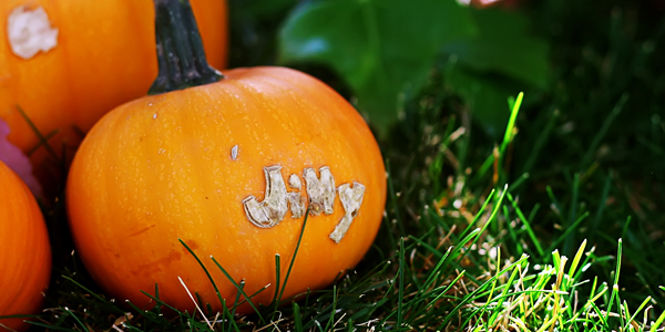 Pumpkin Scarring