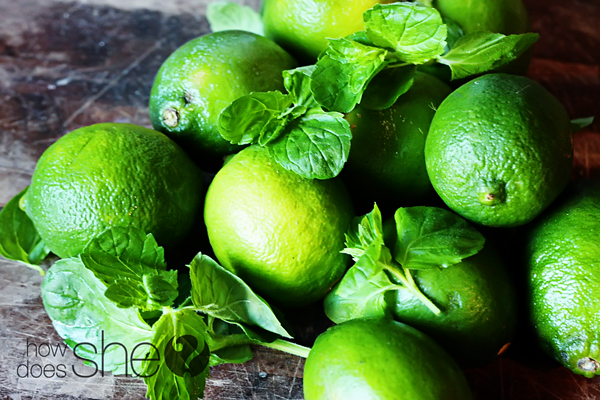 Easy and delicious Mint Limeade recipe