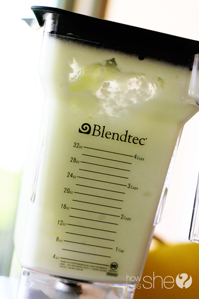Healthy Summer Treats and Blendtec Blender Giveaway!