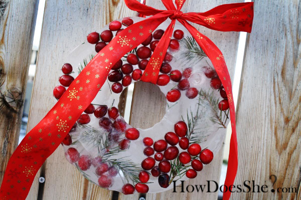 Reindeer Ice Wreath