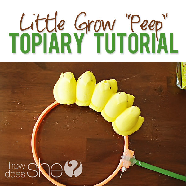 Little Grow Peep Topiary Tutorial