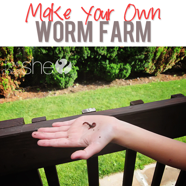 Make Your Own Worm Farm