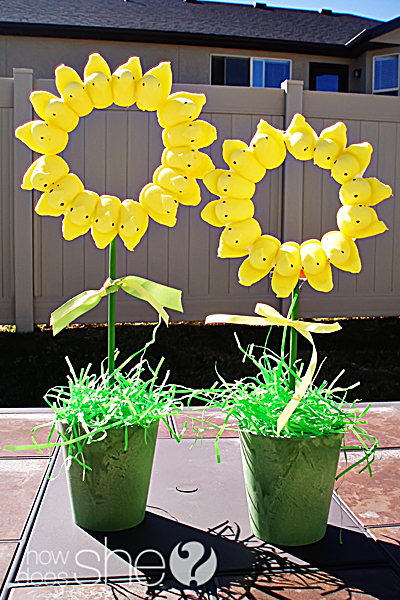 Decorating  Photos on Decorating With Peeps   How Does She