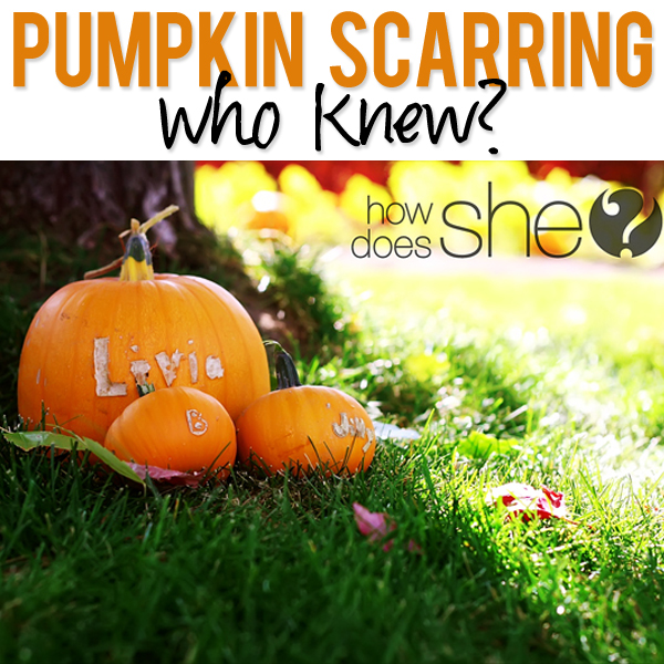 Pumpkin Scarring