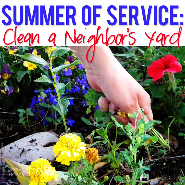 Summer of Service 