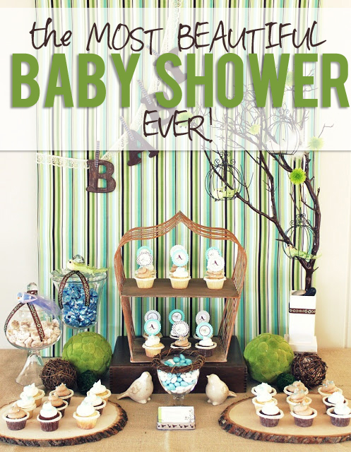 Beautiful Baby Shower 