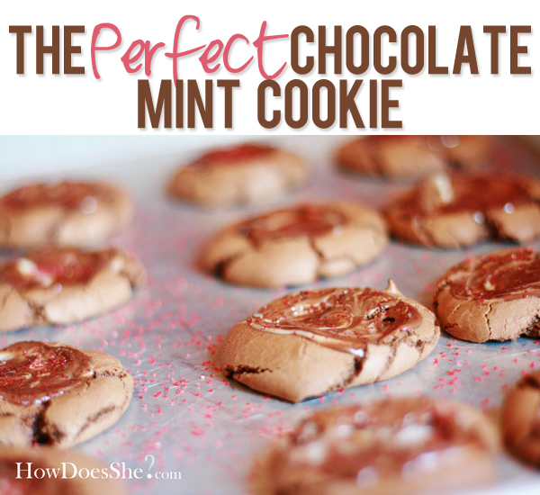 The Perfect Chocolate Mint Cookie