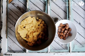 alysha rolo cookies (17)
