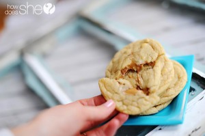 alysha rolo cookies (19)