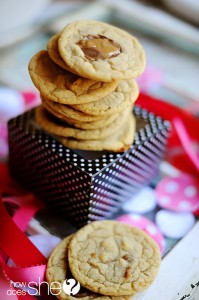 alysha rolo cookies (23)