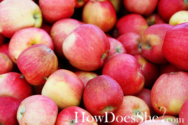 Apples dipped in heaven amazing caramel dip