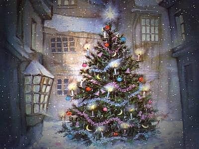 Where to cut my own Christmas Tree?