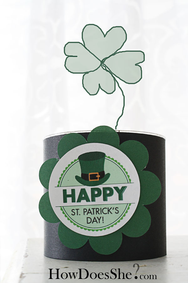 Grow Your OWN Clover for St Patricks Day