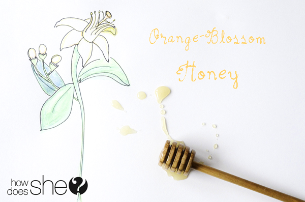 orange honey steel cut oats
