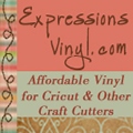 expression vinyl
