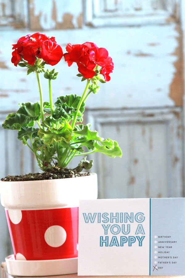 Free Printable Every Occasion Cards