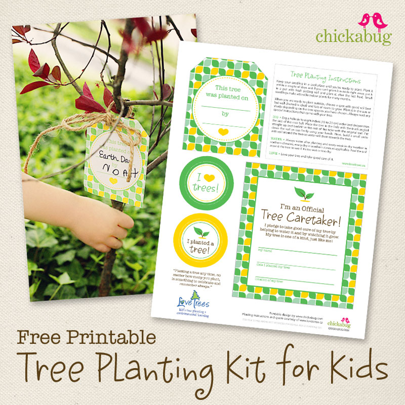 tree planting kit