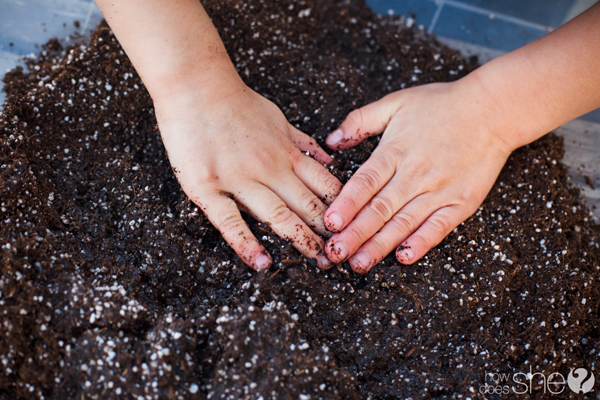 plant a garden