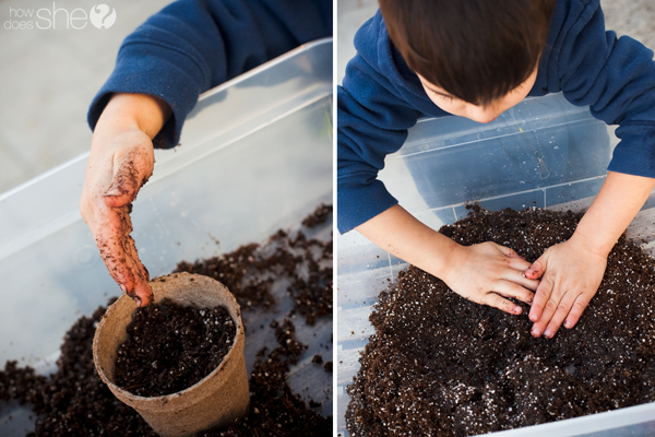 plant a garden