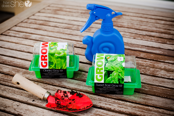 plant a garden