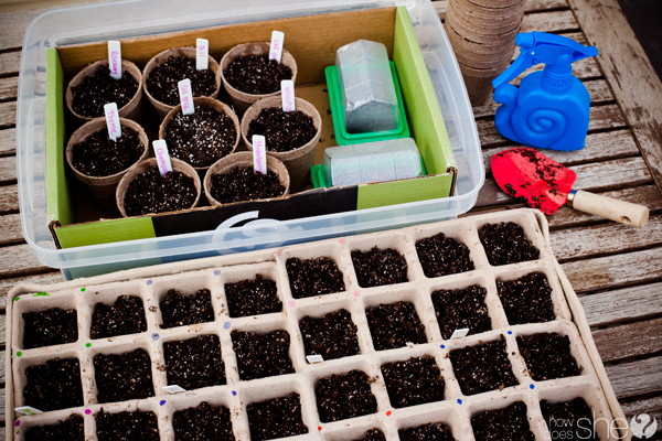 plant a garden
