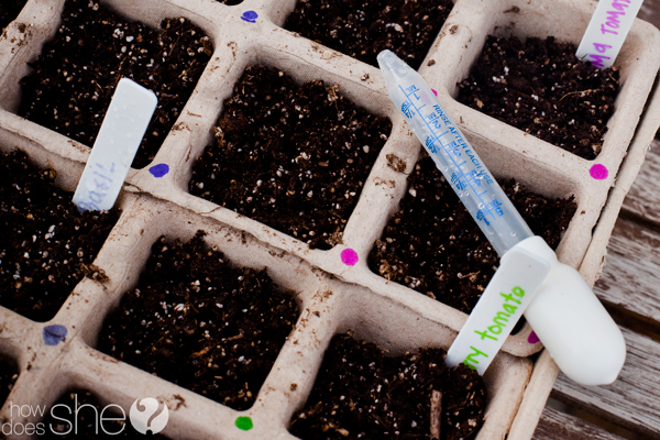 plant a garden