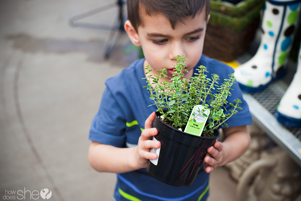 plant a garden