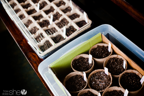 plant a garden