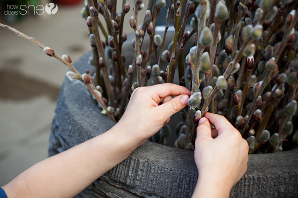 plant a garden