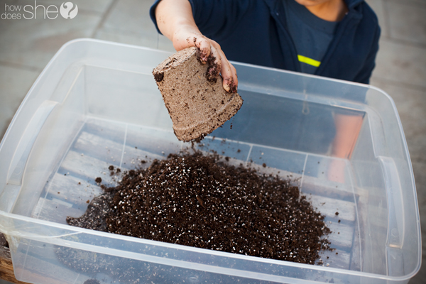 plant a garden