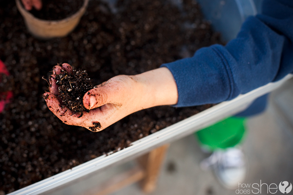 plant a garden