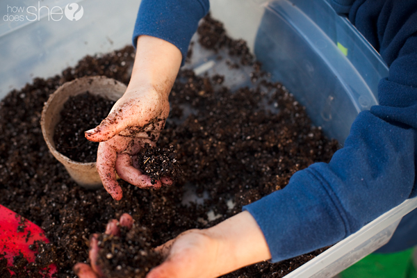 plant a garden