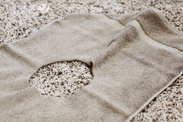 The Bib of All Bibs Towel Bib Tutorial