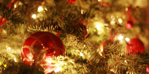 Fun Frugal Family Tradition #7 – Magical Moments Under The Christmas Tree