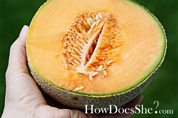 cantaloupe and jello